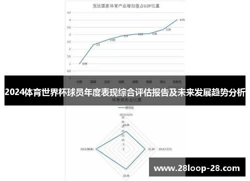 2024体育世界杯球员年度表现综合评估报告及未来发展趋势分析