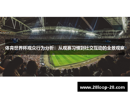体育世界杯观众行为分析：从观赛习惯到社交互动的全景观察