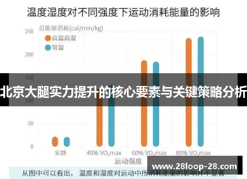 北京大腿实力提升的核心要素与关键策略分析