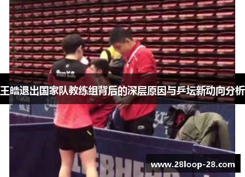 王皓退出国家队教练组背后的深层原因与乒坛新动向分析